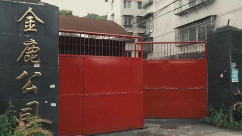 溫州一工廠涉嫌生產(chǎn)偽劣酒品被查封，負(fù)責(zé)人被控制